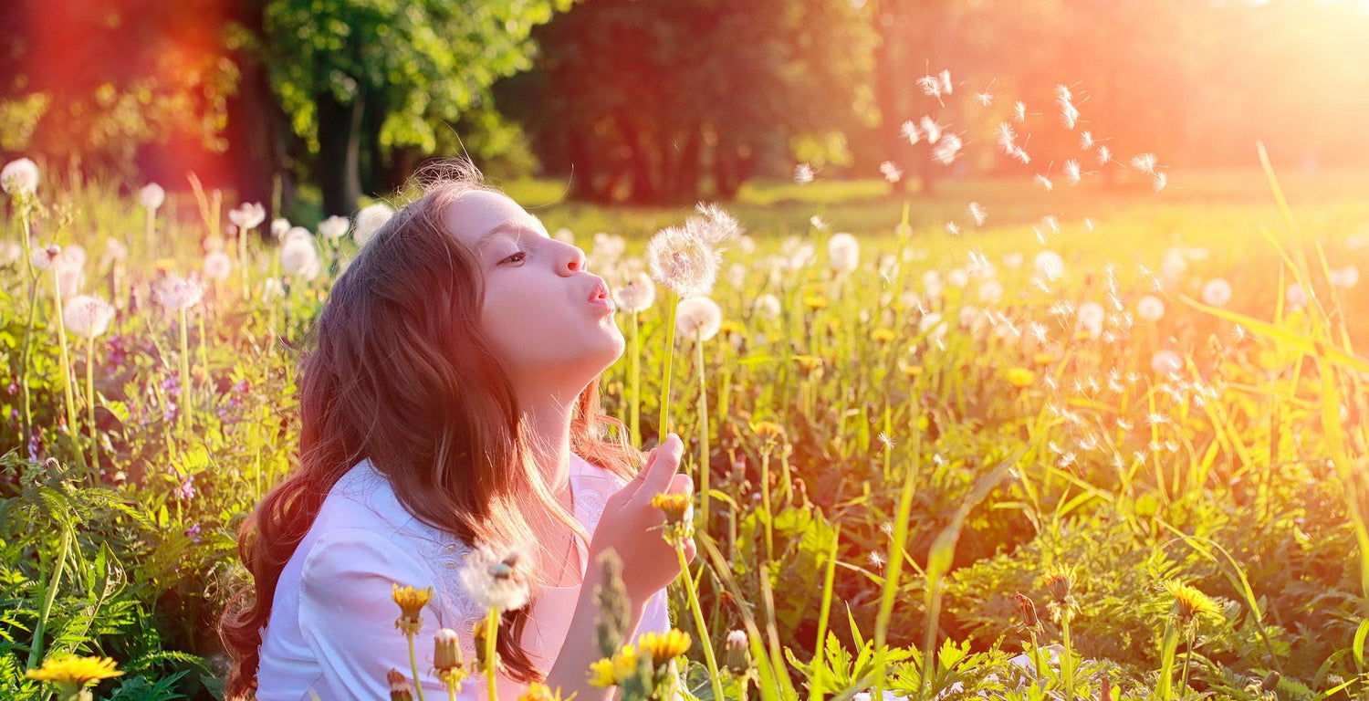 Hvad er pollenallergi, og hvorfor reagerer du på det?